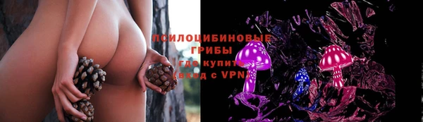 стафф Алексин
