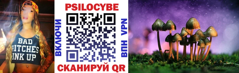Галлюциногенные грибы мухоморы  дарнет шоп  ссылка на мегу онион  Димитровград 